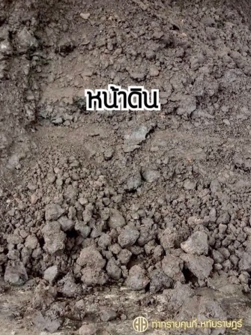 ขายส่งหน้าดิน คุนกี่สาขาหทัยราษฎร์